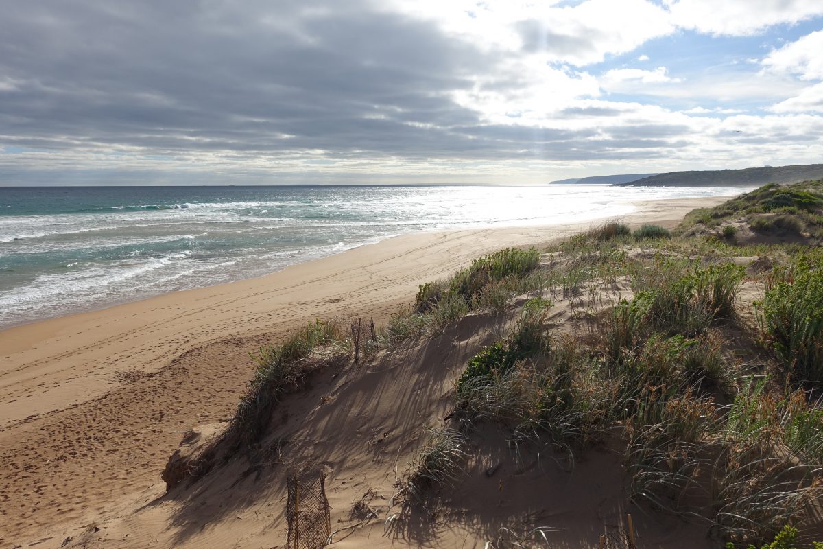 Ein Roadtrip von Sydney nach Melbourne