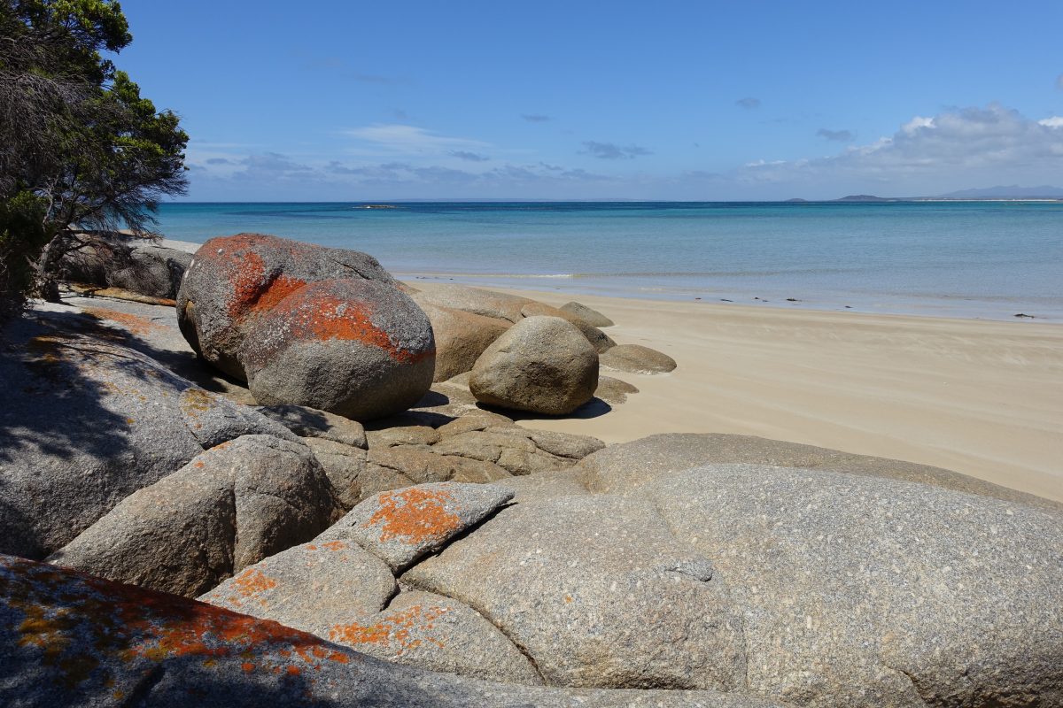 Einmal rund um Tasmanien